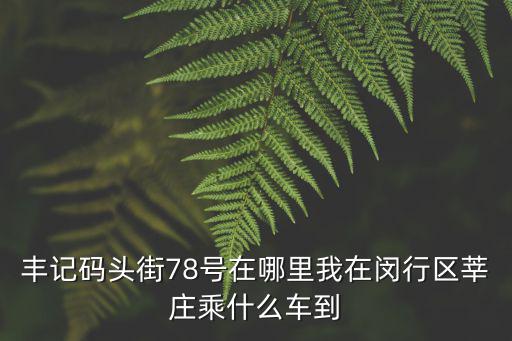 豐記碼頭街78號在哪里我在閔行區莘莊乘什么車到