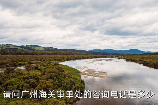 請問廣州海關審單處的咨詢電話是多少