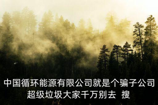 中國循環(huán)能源有限公司就是個(gè)騙子公司超級垃圾大家千萬別去  搜
