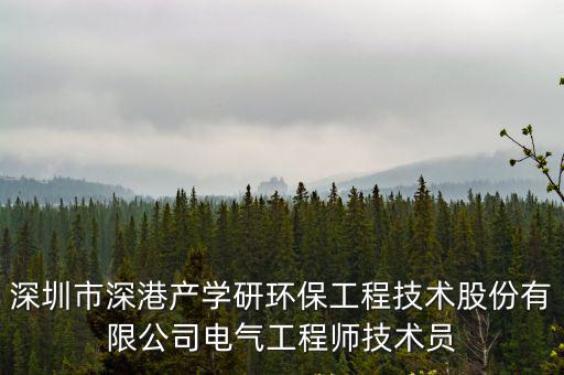深圳市深港產(chǎn)學研環(huán)保工程技術(shù)股份有限公司電氣工程師技術(shù)員
