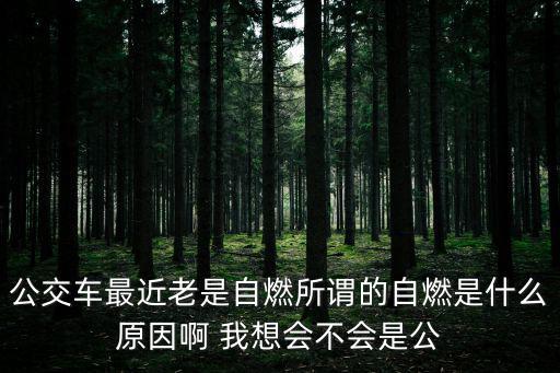 公交車最近老是自燃所謂的自燃是什么原因啊 我想會不會是公
