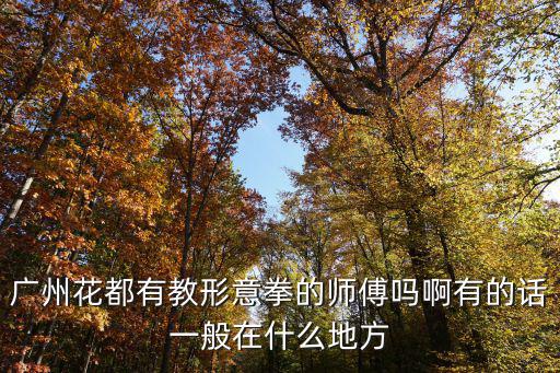 廣州花都有教形意拳的師傅嗎啊有的話一般在什么地方
