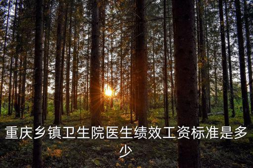 重慶鄉(xiāng)鎮(zhèn)衛(wèi)生院醫(yī)生績效工資標(biāo)準(zhǔn)是多少