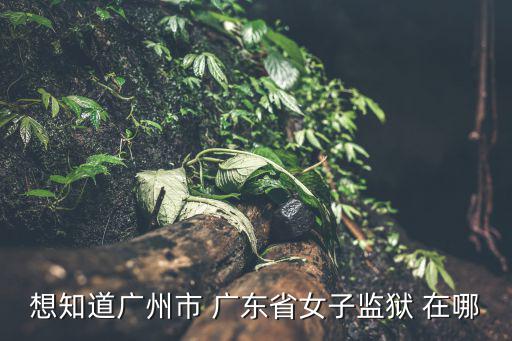 廣州市女子監獄地址，想知道廣州市 廣東省女子監獄 在哪