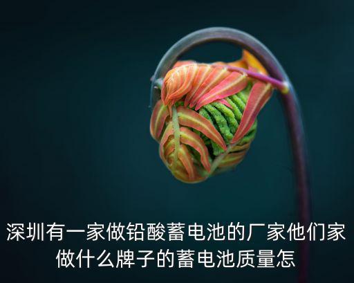 深圳有一家做鉛酸蓄電池的廠家他們家做什么牌子的蓄電池質量怎