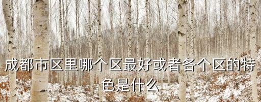 成都市區里哪個區最好或者各個區的特色是什么