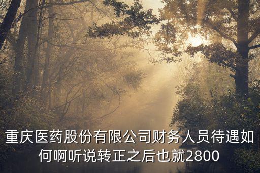 重慶醫藥股份有限公司財務人員待遇如何啊聽說轉正之后也就2800