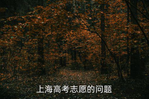 上海高考志愿的問題