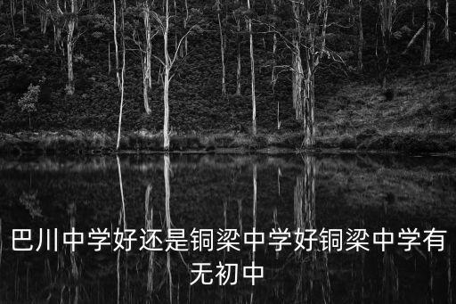 巴川中學(xué)好還是銅梁中學(xué)好銅梁中學(xué)有無初中
