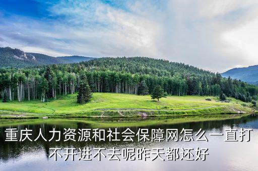 重慶人力資源和社會保障網怎么一直打不開進不去呢昨天都還好