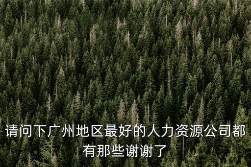 廣州新航人力資源有限公司，廣州有那家勞務(wù)派遣公司有派遣出國打工的