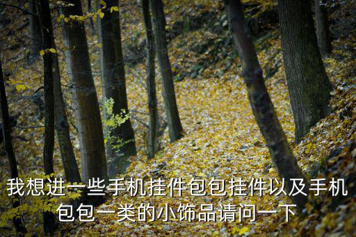我想進一些手機掛件包包掛件以及手機包包一類的小飾品請問一下