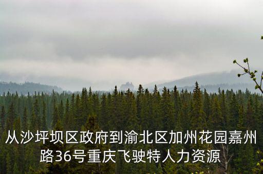 重慶市沙坪壩區政府何友明，現在重慶市沙坪壩區區長是誰
