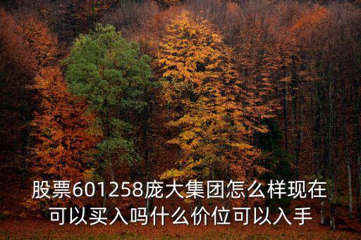 股票601258龐大集團怎么樣現在可以買入嗎什么價位可以入手