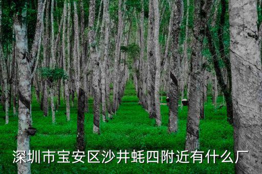 深圳市寶安區(qū)沙井蠔四附近有什么廠