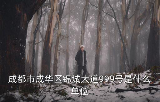 成都市成華區(qū)錦城大道999號是什么單位