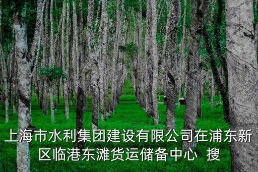 上海市水利集團建設有限公司在浦東新區(qū)臨港東灘貨運儲備中心  搜