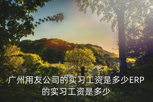 廣州用友公司的實(shí)習(xí)工資是多少ERP的實(shí)習(xí)工資是多少