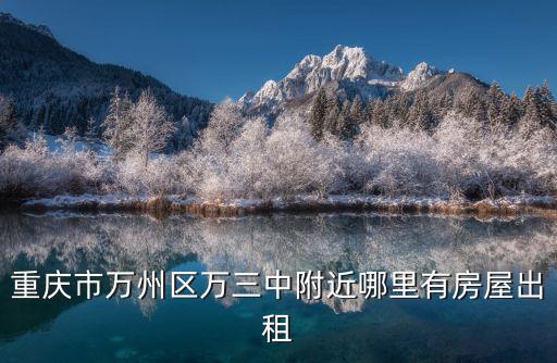 重慶市萬州區(qū)王牌路租房，萬州巴渝子第具體位置在那里