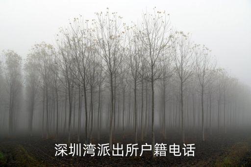 深圳市筍崗派出所戶政電話，深圳補辦身份證咨詢電話