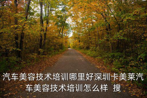 汽車美容技術培訓哪里好深圳卡美萊汽車美容技術培訓怎么樣  搜