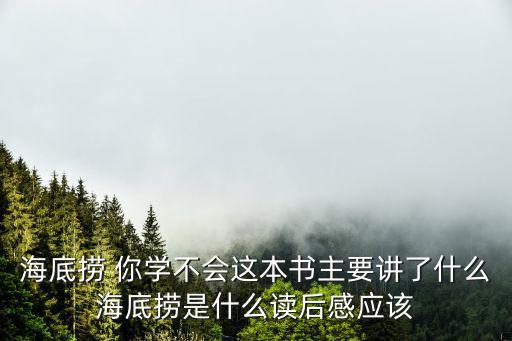 海底撈 你學不會這本書主要講了什么海底撈是什么讀后感應該