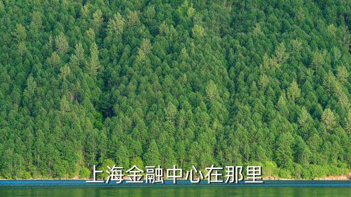 上海金融中心在那里
