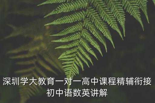 深圳學(xué)大教育一對(duì)一高中課程精輔銜接初中語(yǔ)數(shù)英講解