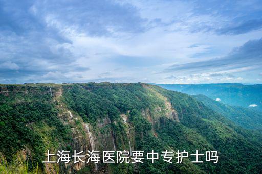 上海長海醫院要中專護士嗎