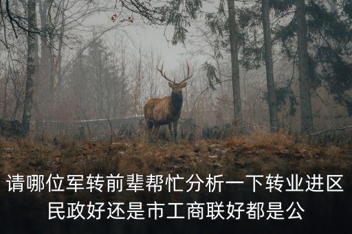重慶市工商聯(lián)，請(qǐng)哪位軍轉(zhuǎn)前輩幫忙分析一下轉(zhuǎn)業(yè)進(jìn)區(qū)民政好還是市工商聯(lián)好都是公