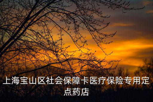上海寶山區社會保障卡醫療保險專用定點藥店