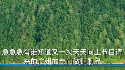 廣州西關恩寧路銅器店的網店地址，廣州恩寧路偉興銅器店的老板叫什么拜托啦謝謝大神