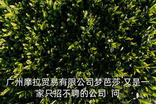 廣州摩拉貿易有限公司夢芭莎 又是一家只招不聘的公司  問