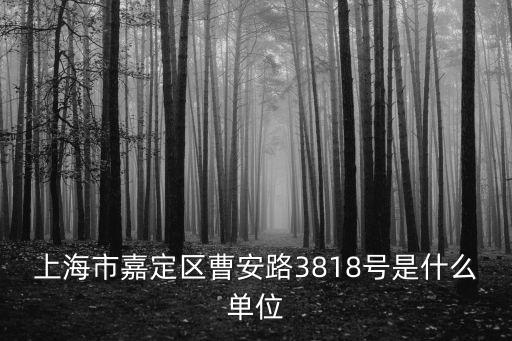 上海市嘉定區13稅務所，上海市嘉定區曹安路3818號是什么單位