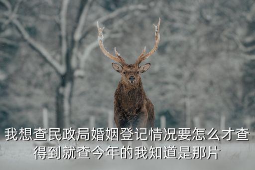 我想查民政局婚姻登記情況要怎么才查得到就查今年的我知道是那片