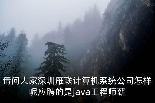 深圳市雁聯(lián)計(jì)算系統(tǒng)有限公司北京，深圳雁聯(lián)北京分公司環(huán)境待遇怎么樣