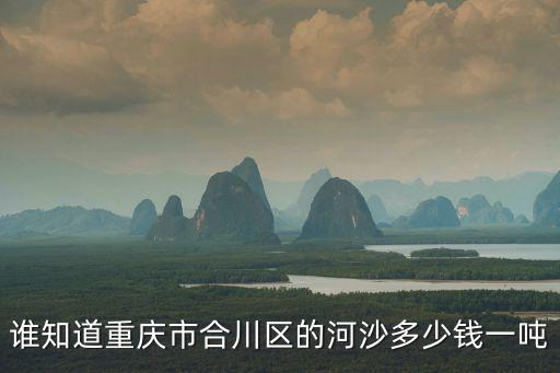誰知道重慶市合川區的河沙多少錢一噸
