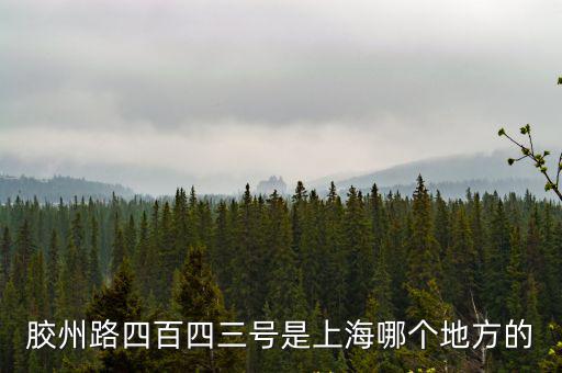 上海市滄州路138號，上海金科路2966號北樓509室