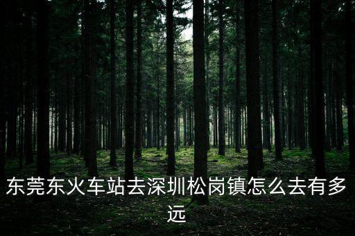 東莞東火車站去深圳松崗鎮怎么去有多遠