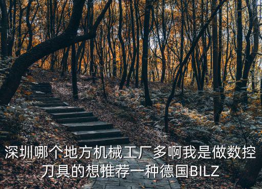 深圳哪個地方機械工廠多啊我是做數控刀具的想推薦一種德國BILZ
