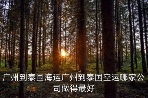 廣州到泰國海運，廣州到泰國海運廣州到泰國空運哪家公司做得最好