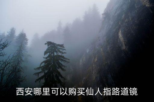 西安哪里可以購買仙人指路道鏡