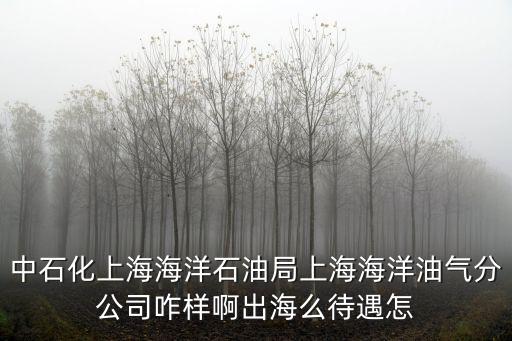 中石化上海海洋石油局上海海洋油氣分公司咋樣啊出海么待遇怎