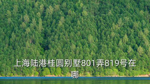 上海陸港桂圓別墅801弄819號在哪