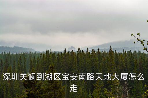 深圳關(guān)讕到湖區(qū)寶安南路天地大廈怎么走