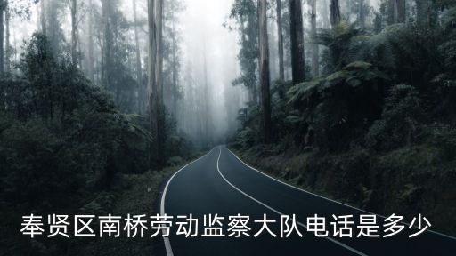 奉賢區南橋勞動監察大隊電話是多少