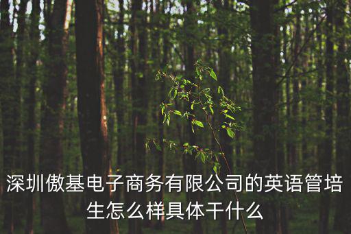 深圳傲基電子商務有限公司的英語管培生怎么樣具體干什么