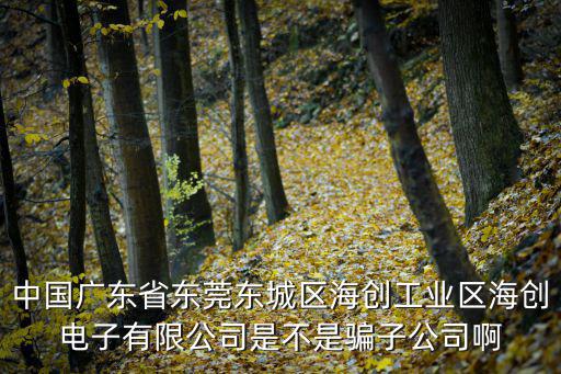 中國廣東省東莞東城區海創工業區海創電子有限公司是不是騙子公司啊