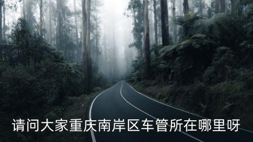 請問大家重慶南岸區車管所在哪里呀