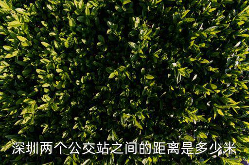 深圳公交站臺前后幾十米，深圳公交站臺站臺與站臺的距離是多遠